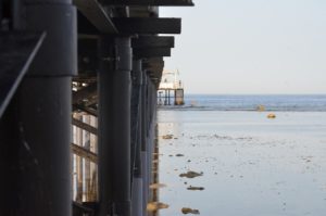 red sea, pier, pontoon-2645482.jpg