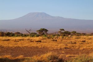africa, kilimanjaro, kenya-4278135.jpg