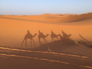 desert, sand, camel-3131312.jpg