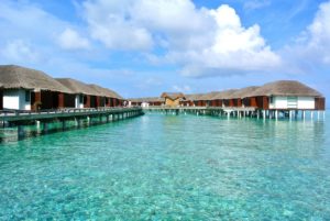 maldives, beach, holiday-261504.jpg