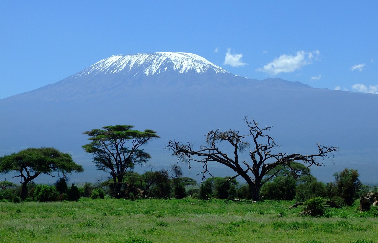 mount kilimanjaro, mountain, safari-1025146.jpg