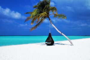 maldives, palm tree, hammock-3220702.jpg