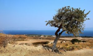 landscape, greece, kos-4522100.jpg