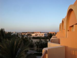 view, marsa alam, palm trees-2414315.jpg