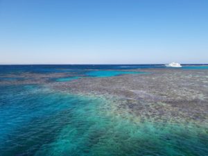 coral reefs, sea, egypt-5970427.jpg