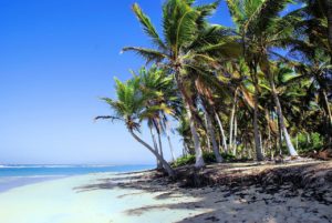 dominican republic, punta-cana, shore-5107400.jpg