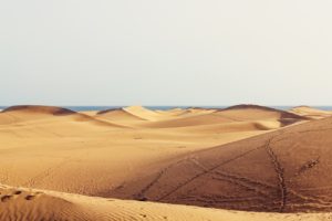 dunes, wilderness, travel-1673766.jpg