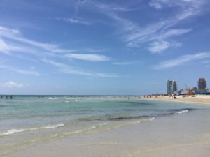 beach, miami, ocean-993415.jpg