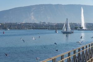 geneva, lake geneva, jet d'eau-6977950.jpg