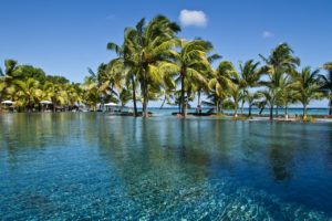 mauritius, palm trees, pool-5109739.jpg