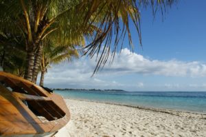 ocean, boat, palm tree-829715.jpg