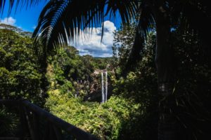 waterfall, mauritius, jungle-4697214.jpg