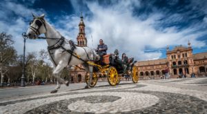 sevilla, horse, spain-1412171.jpg