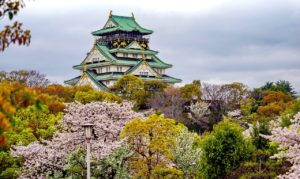 cherry blossoms, japan, osaka-6329828.jpg