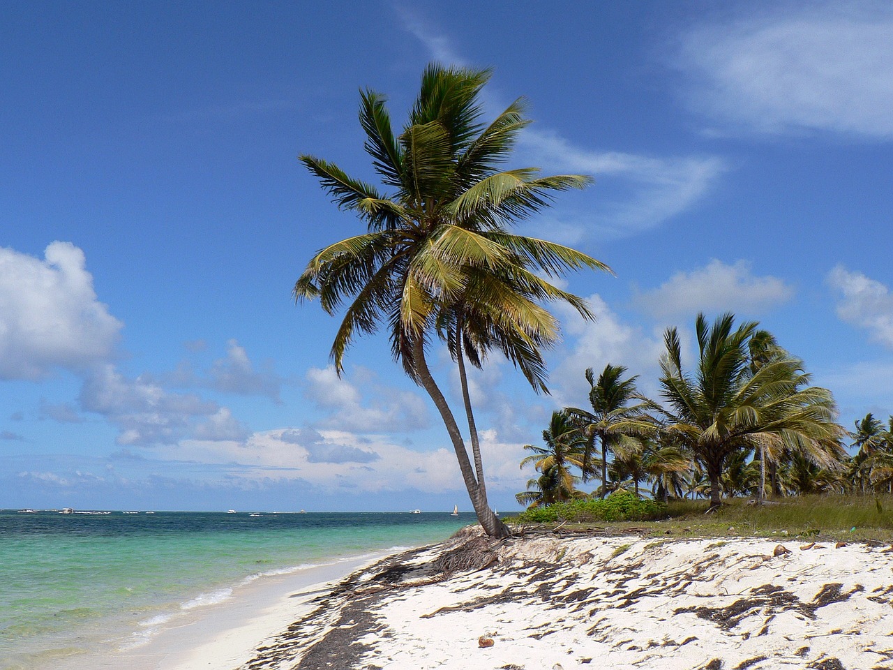 dominican republic, punta cana, beach-1057905.jpg