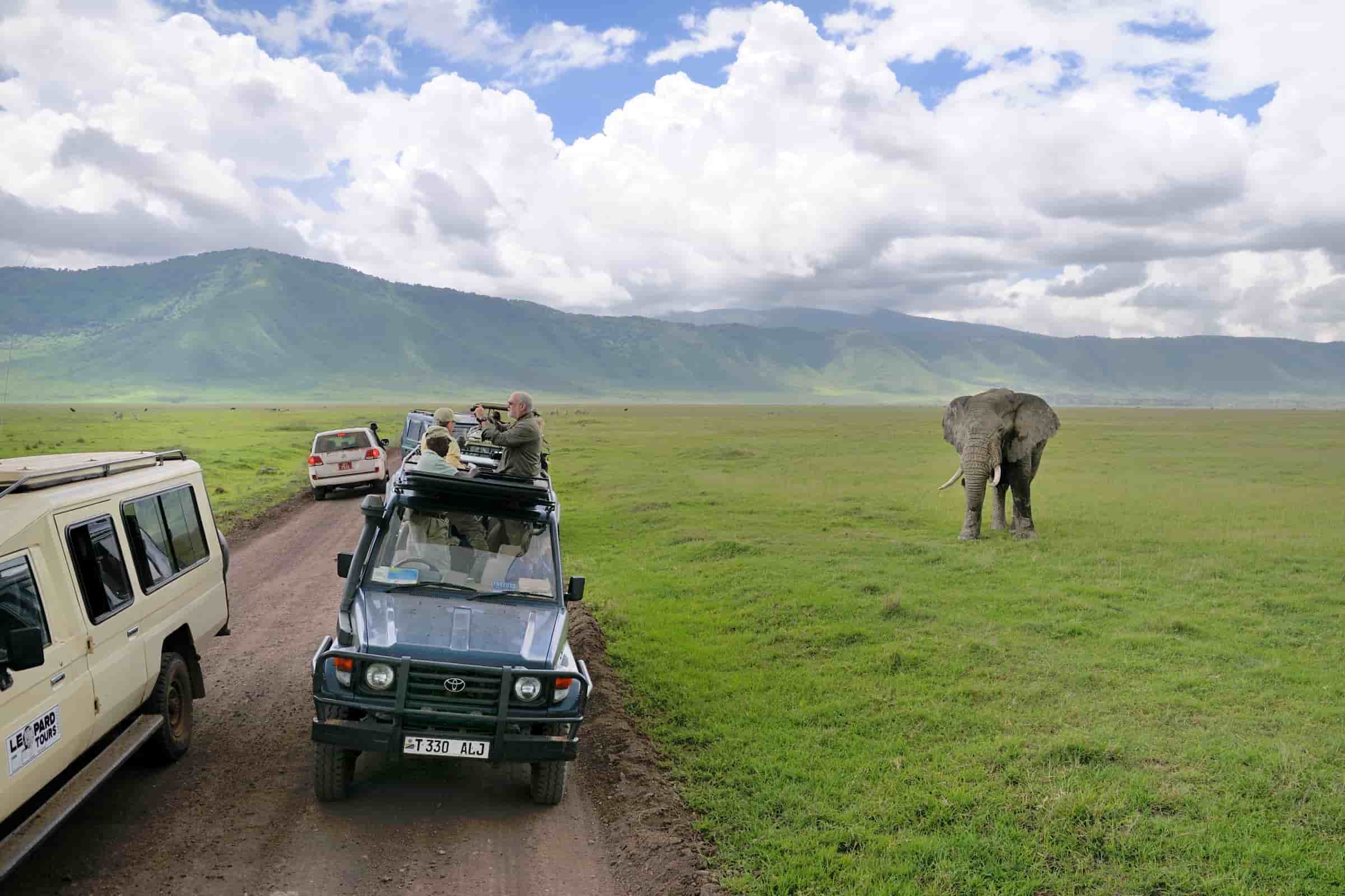 Ngorongoro safari